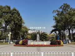 -长洲岛