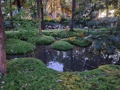 -成都市活水公园