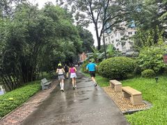 -晓港公园