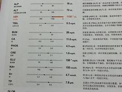 -安安宠医·臻爱宠物医院·宠保定点(营门口路分院)