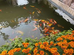 -上海城隍庙