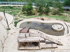 -青藏高原野生动物园