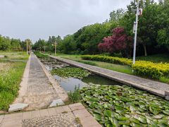 -洛阳市隋唐城遗址植物园