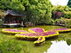 -汇龙潭