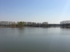 -东郊湿地公园