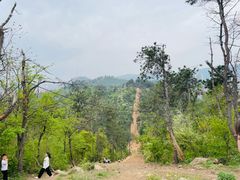 -青龙山国家森林公园