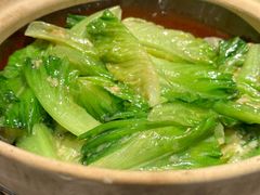 椒丝罗马生菜-悦秀·高级粤菜