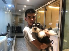 -momokira米努特·德文卷毛猫·棉花面纱犬