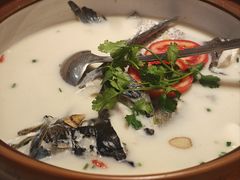 -全乐鱼馆·淳牌有机鱼直营店
