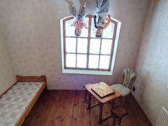 -金山农民画村-枫泾波兰倒置屋