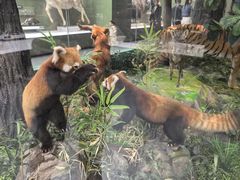 -国家自然博物馆