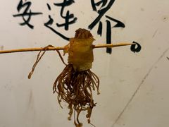 -长药唐师乐山油炸(石人直营店)