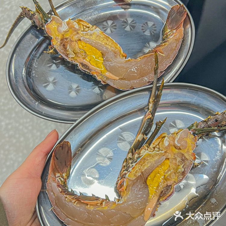 在泉州人均💰80就能吃到撑的海鲜火锅🍲