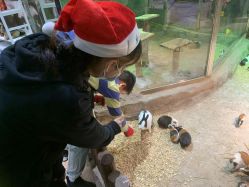 -宝燕乐园(闵行旗舰店)