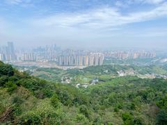 -南山植物园