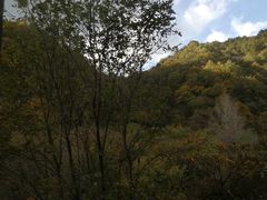 -沣峪口