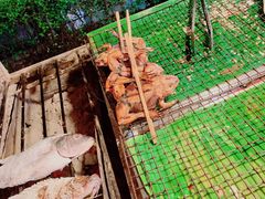 -班赞海鲜市场