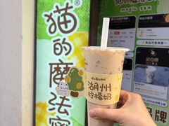 -猫的魔法密林(衣裳街店)