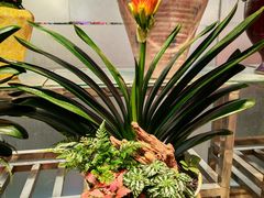 -双季花艺园艺市场(浦东店)