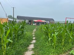 -美家乐农庄·露营·团建(大治路店)