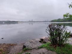 -冷大厨灌汤包