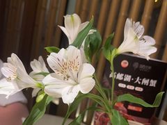 -淮扬府·游园京梦(北京SKP店)