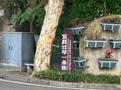 -胡记包子