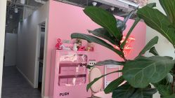 -Priscilla皮肤管理中心