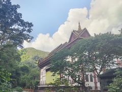 -西双版纳原始森林公园