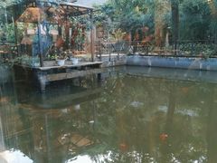 -天怡·鱼工厂(梅溪湖店)