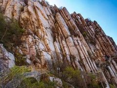 -中原农家乐(中原饭店)