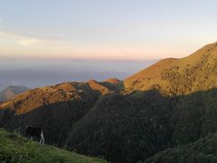 -天龙顶山地公园