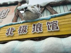 -海合安成都极地海洋公园