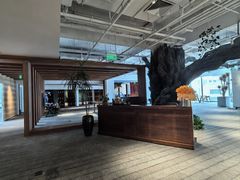 -大视光学•LINDBERG林德伯格•全球手工眼镜集合店(王府井店)