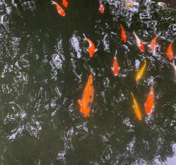 -深圳市儿童乐园