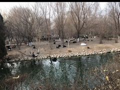 -长白岛森林公园