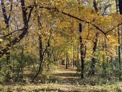 -长春市南湖公园