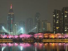 -西北湖绿化广场