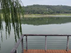 -羊山湖公园