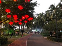 -万绿园