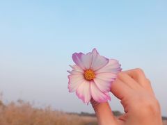 -西青郊野公园