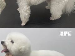 -comecome来吧宠物(奥克斯中心店)