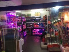 -山东柏宁水族批发广场