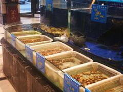 水产区-蓝港海鲜厨房(金水路店)