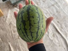 -西瓜小镇