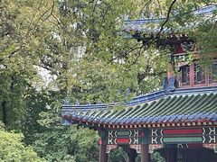 -灵谷景区