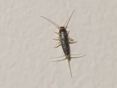 -上海昆虫博物馆