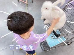 -Moni星球萌宠·小马宝莉·灵蛇·高端高阶全萌宠互动体验俱乐部(红豆国际广场店)