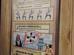 -东京塔海贼王主题公园