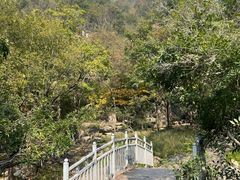 -武汉姚家山旅游景区